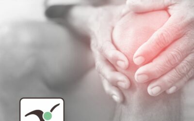 Journée mondiale de l’arthrose : imagerie & diagnostic