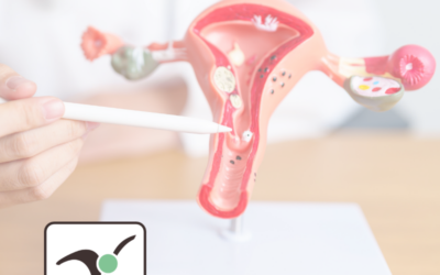 Mars Jaune : comprendre et agir contre l’endométriose